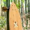 [交通板] Arbor Skateboards - Fish 37" Bamboo
