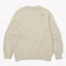 THE NORTH FACE  COMFY DYED SWEATSHIRTS  白標限定 低飽和度大學T 水洗仿舊