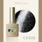 ARTiS di Voce 貓眼甲油膠8g CE041