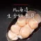 L級北海道生食級干貝 (1kg/盒/約20~22顆)