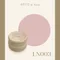 ARTiS di Voce 彩色凝膠2g LN003