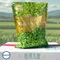 【旗山青農】侯兆百-臺灣九號精品毛豆仁(500克x10包/箱)(冷凍含運)