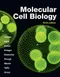Molecular Cell Biology (IE)