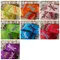 PR1713 蜻蜓印刷缎帶 16mm  (PR1713 DRAGONFLY PRINT RIBBON 16mm )