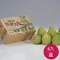 『麻豆農會-柚之寶 』頂級文旦禮盒(6入裝)含運組★含運組★完售