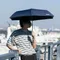 [  Coleman  ] 通路限定 // Coleman 自動晴雨傘55/冰灰/CM-44026 海軍藍/CM-43953 陽傘 遮陽 摺疊傘 黑膠