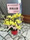 B1-6│蘭花盆栽│新北市花店│蘆洲花店│榮升誌慶│喬遷之喜│開幕誌慶│過年送禮│訂花│送花