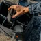 [ CARGO ] 工業風裝備收納袋19L-灰色/黑色/沙色/軍綠 │四色 裝備袋 收納箱 戶外露營 工業風收納袋