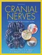 Cranial Nerves: Function & Dysfunction