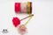 <特惠套組> 玫瑰少年套組 緞帶套組 禮盒包裝 蝴蝶結 手工材料