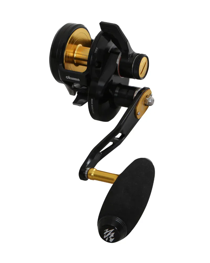 2026年DAIWA 銀狼王牙GINRO OHGA 超細身高彈性磯釣竿黑鯛浮標釣竿磯竿