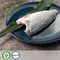 【林園青農】陳雅琳-鹽漬鱸魚菲力(165克x2包)(含運)