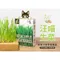 【喵村食堂😊】汪喵星球貓草新鮮栽培盒-貓咪生菜★防毛球 吐毛 排毛☆