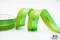 活潑雙色金銀中線織帶 -21mm
