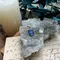 天然礦物 | 藍線石 長方形 寶石切面 麻花邊 s925銀 項鍊