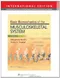 (舊版特價-恕不退換)Basic Biomechanics of the Musculoskeletal System (IE)