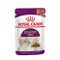 【喵村食堂😊】法國皇家貓主食濕糧85g★Royal Canin★餐包罐頭☆