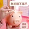 【現貨】小豬撲滿 小豬存錢筒 大豬豬 不怕摔存錢罐
