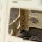 [ WHATNOT ] FOLDING STEP STOOL 摺疊墊高椅-灰/米色｜預購 露營椅 折疊椅 踏腳凳 椅凳 行動冰箱支架