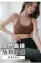 機能美背BRATOP