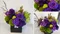 紫桔梗盒花