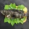 【永安區漁會】嚴選海味A組(龍虎斑條凍/午仔魚/小卷/浦燒鰻/龍虎斑清肉/龍膽石斑魚塊/龍骨原萃白湯)(含運)