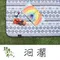 洄瀾【野峰地墊】防水可機洗地墊 - 300×300 & 300×360& 300×250 野餐墊 內墊 露營美學