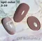 ageha gel Opti Color 彩色凝膠3-10