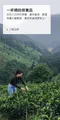 【Jamie團購限定】繁花國寶茶 2.5gx15茶包/盒 ｜兩件優惠平均每包422