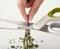 JOSEPH JOSEPH PowerGrip kitchen scissors 可拆式廚房剪刀 #10302