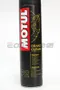 MOTUL P2 BRAKE CLEAN 煞車系統清潔劑