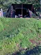 [  二手裝備專區  ] NUIT暮光之城2  主帳、全室地墊、超級頂布、側邊及前延伸布，內帳*2、骨架