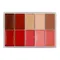 maqpro - Lipstick Palette 個人色彩唇頰彩盤-Syrah冷色紅酒盤 - 15ml
