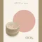 ARTiS di Voce 彩色凝膠2g 006