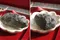 超光西藏隕石(高透光)-連結仙女星系 104.66g