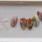 YLD 珠光片