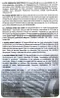 BMW ZF 8 8HP ATF 8速變速箱油 最新包裝 自排油
