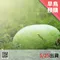 【壽豐鄉農會】果艷西瓜(18公斤/顆)