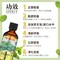 【澳維花園Aus Garden】綠薄荷精油100ml