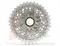 SRAM RED AXS E1 XG-1290 10-36T 12速 彩虹飛輪/銀色飛輪~全新盒裝