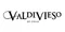 2014智利威帝偉士單一園頂級陳年美貝克紅酒  Valdivieso Single Vineyard Malbec