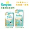 幫寶適 Pampers 日本境內 一級幫尿布 褲型／黏貼型