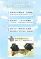 【喵村食堂😊】怪獸部落吸盤式貓吊床★滿額送贈品 貓床 耐重 胖胖貓 貓窗台 太空艙