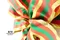 經典聖誕禮盒包裝(W397G/Classic Christmas Gift Box Packaging)