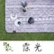 霂光【野峰地墊】防水可機洗地墊 - 300*300 & 300*360 & 300*250野餐墊 內墊 露營美學
