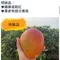 【枋寮青農】王鎮國-*預購*特級愛文芒果禮盒(小果/中果/大果/特大果)(10斤/盒)(含運)