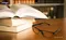 GL-B104-K Berlin Classic glasses