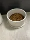 寵物商品／Inherent－Pudding 布丁陶瓷碗！可疊加使用！