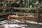 ［原木圓生］ 阿卡之霖 Aka Extendable Table ▻ 露營桌 摺疊桌 野餐桌