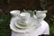 Salisbury - 藍色牽牛 (含 茶杯組 糖碗 牛奶壺 蛋糕盤)